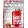 100% Whey Protein Professional