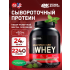 100% Whey Gold Standard   