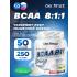 BCAA 8:1:1 Instantized powder   