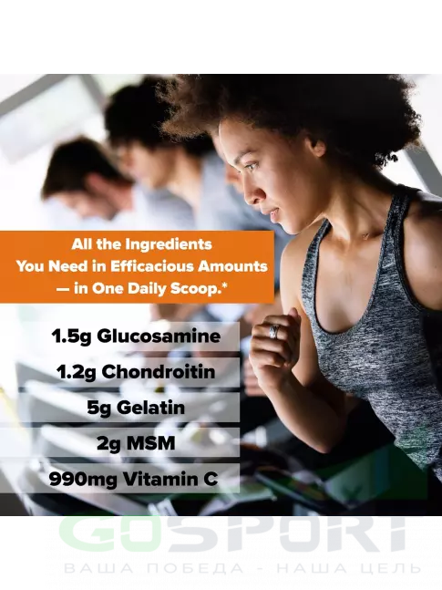 Комплекс хондропротекторов Labrada Elasti Joint 384 г, Фруктовый пунш