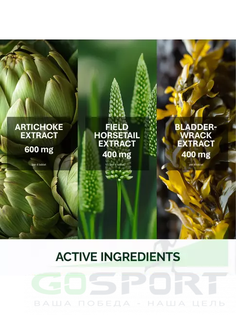 Экстракты NFO Oxylax Artichoke 150 mg 60 таблеток