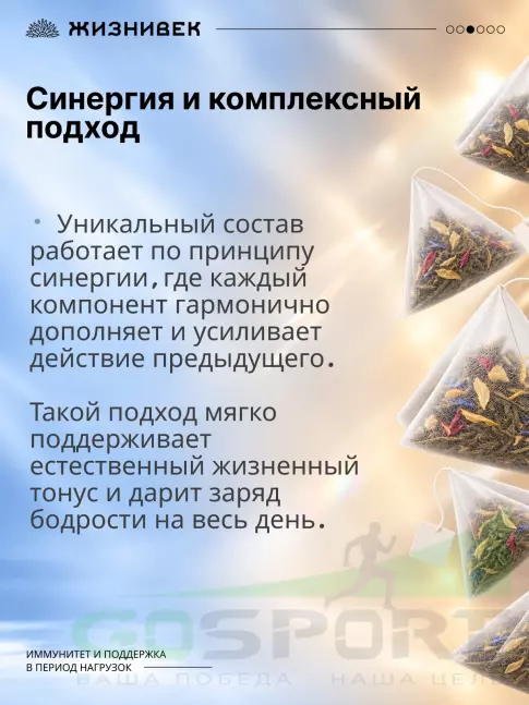 Чай Жизнивек Чайный напиток ПРО Иммунитет 15 пирамидок 