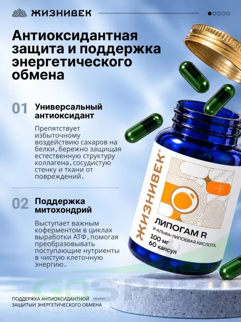 Жиросжигатель Жизнивек Липогам R 100 мг 60 капсул