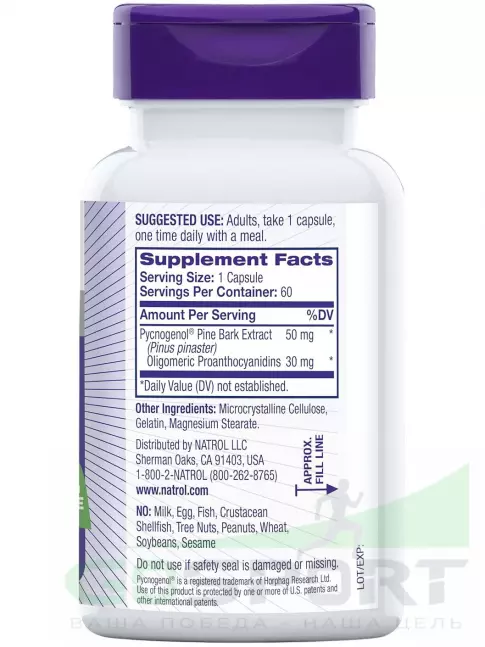  Natrol Pycnogenol 60 капсул