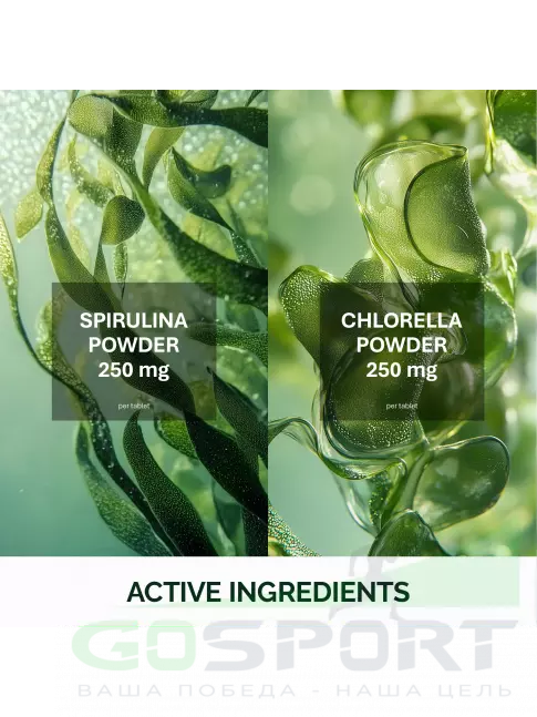 Антиоксиданты NFO Spirulina 1000 mg & Chlorella 1000 mg 260 таблеток