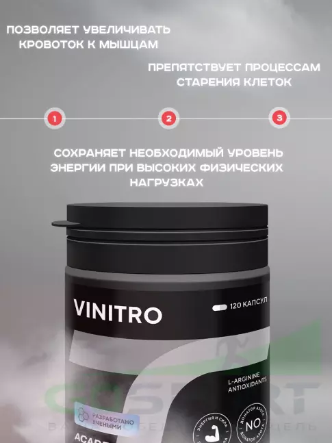 Восстановление АКАДЕМИЯ-Т ViNitro 120 капсул
