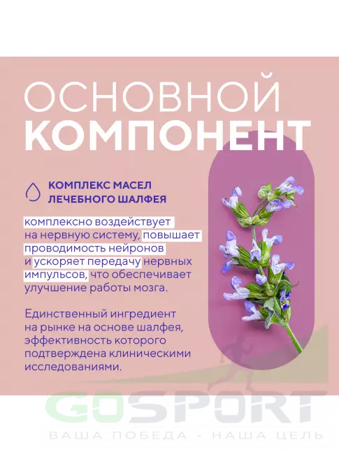  АКАДЕМИЯ-Т Когни Буст 60 капсул