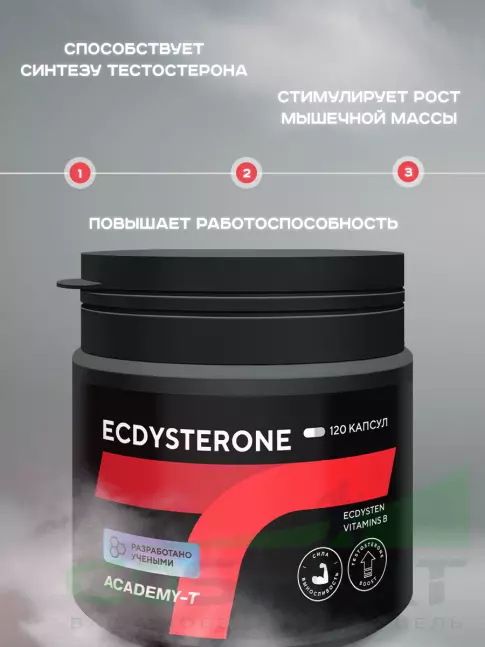  АКАДЕМИЯ-Т Ecdysterone 120 капсул
