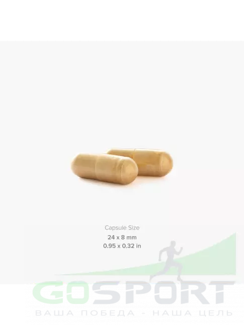  MAXLER Turmeric Curcumin with Bioperine 90 веган капсул