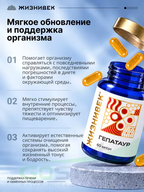 Экстракты Жизнивек Гепатаур 60 капсул