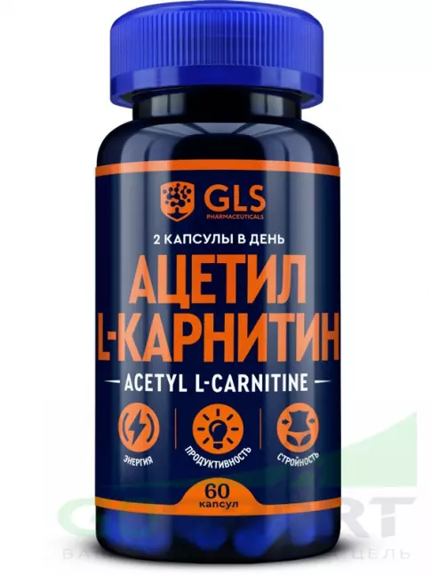  GLS pharmaceuticals Ацетил L-Карнитин 60 капсул