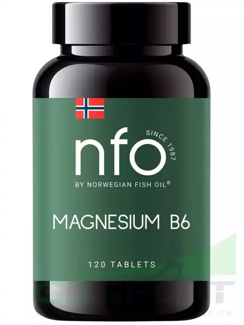 Магний NFO Magnesium 350 mg + B6 120 таблеток