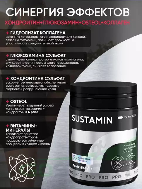 Комплекс хондропротекторов АКАДЕМИЯ-Т SUSTAMIN 120 капсул, Нейтральный
