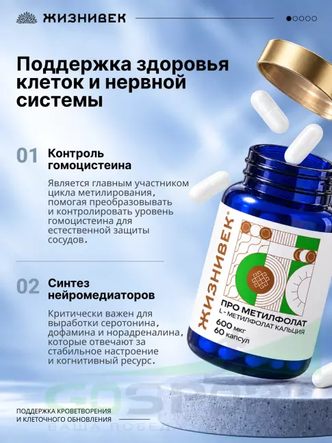 Фолиевая кислота (B9) Жизнивек Про метилфолат 60 веган капсул