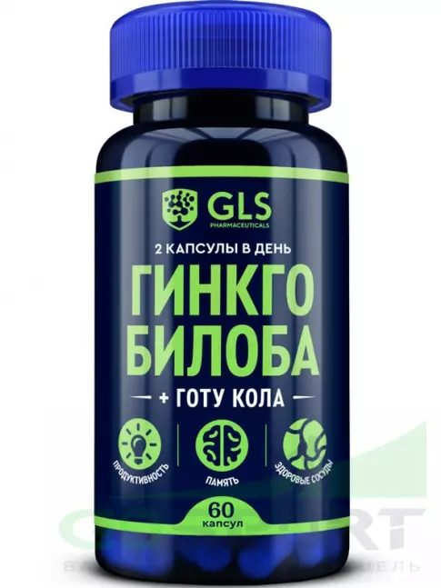  GLS pharmaceuticals Гинкго билоба + Готу кола 60 капсул