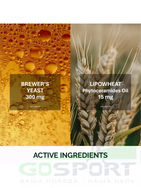 Аминокислоты NFO Amino Complex 180 капсул