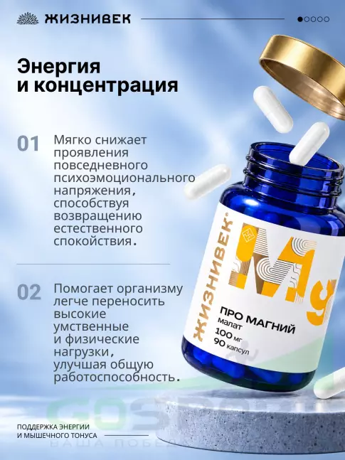Магний Жизнивек Про магний малат 100 мг 90 капсул