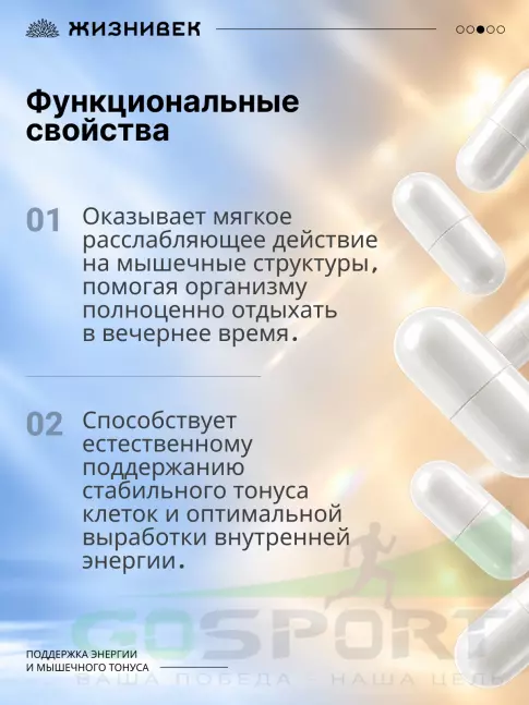 Магний Жизнивек Про магний малат 100 мг 90 капсул