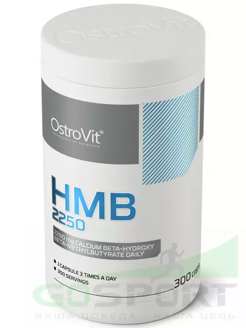  OstroVit HMB 2250 mg 300 капсул