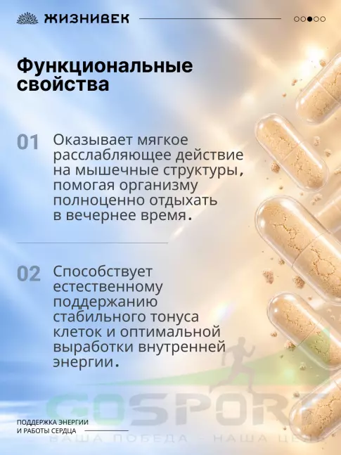 Магний Жизнивек Про магний оротат 60 веган капсул
