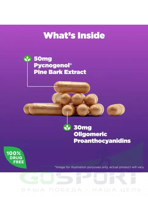  Natrol Pycnogenol 60 капсул