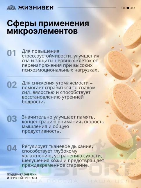 Витамины группы B Жизнивек Оркестр B 60 таблеток