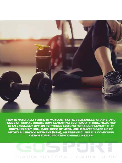 Комплекс хондропротекторов Scitec Nutrition Mega MSM 100 капсул Комплекс хондропротекторов Scitec Nutrition Mega MSM 100 капсул