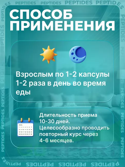 Пептиды Хавинсона PEPTIDES Хонлутен (Chonluten) 60 капсул