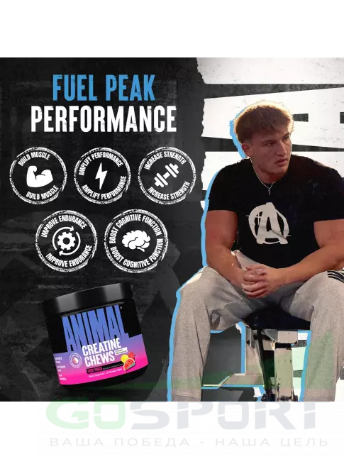 Микронизированный креатин UNIVERSAL NUTRITION Animal Creatine Chews 120 таблеток, Фруктовый пунш Микронизированный креатин UNIVERSAL NUTRITION Animal Creatine Chews 120 таблеток, Фруктовый пунш