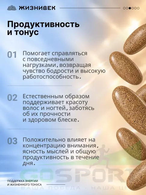Железо Жизнивек Железо комплекс с кофакторами 30 таблеток