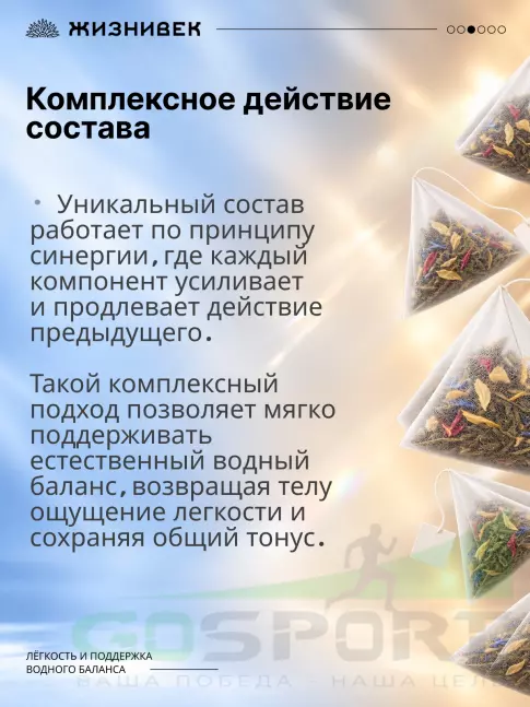 Чай Жизнивек Чайный напиток Про лимфу 15 пирамидок 