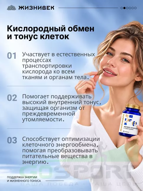 Железо Жизнивек Железо комплекс с кофакторами 30 таблеток