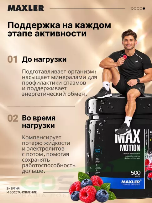 Изотоник MAXLER Max Motion 500 г, Дикие ягоды
