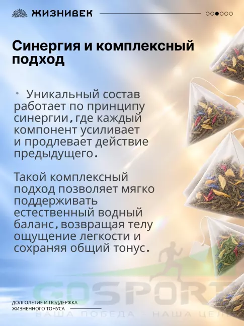 Чай Жизнивек Чайный напиток ПРО Долголетие 15 пирамидок Чай Жизнивек Чайный напиток ПРО Долголетие 15 пирамидок