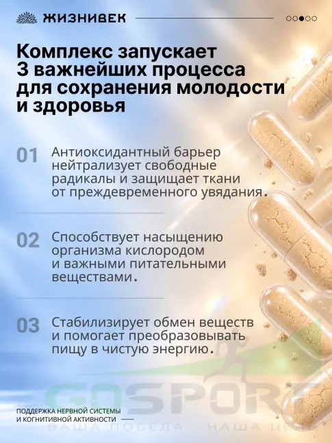 Экстракты Жизнивек Нейрольвин 90 капсул Экстракты Жизнивек Нейрольвин 90 капсул