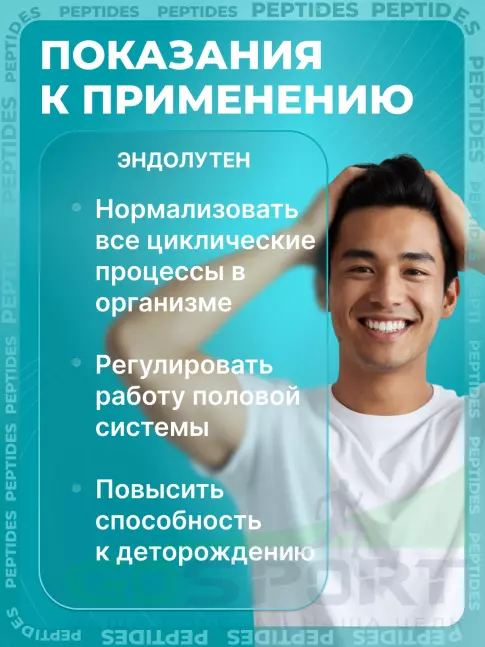 Пептиды Хавинсона PEPTIDES Эндолутен (Endoluten) 60 капсул