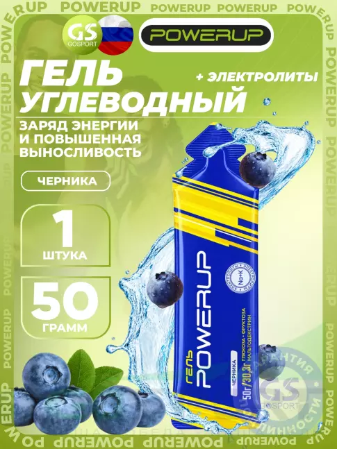 Гель питьевой Powerup GEL +Na +K саше 50 г, Черника