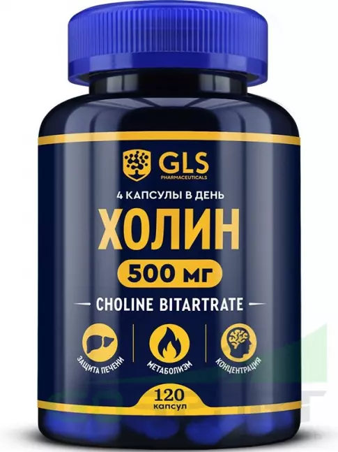  GLS pharmaceuticals Холин 500 мг (холина битартрат) 120 капсул