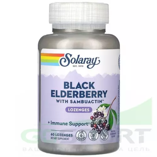  Solaray Sambuactin Elderberry Extract 60 таблеток