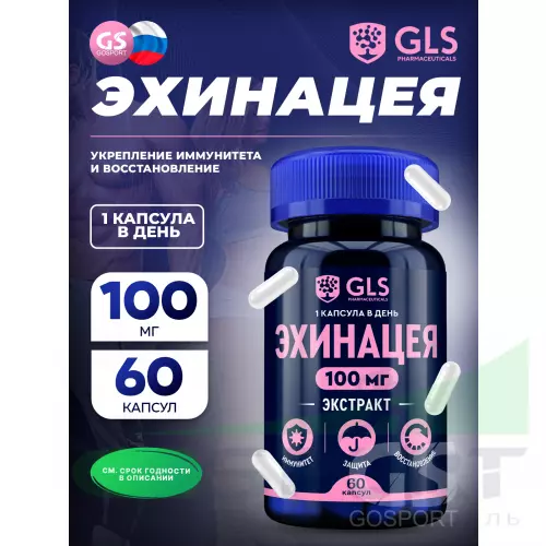  GLS pharmaceuticals Эхинацея (экстракт) 100 мг 60 капсул