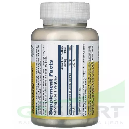  Solaray Choline & Inositol 250 mg 100 вегетарианских капсул