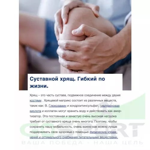 Комплекс хондропротекторов Orthomol ArthroPlus курс 30 дней