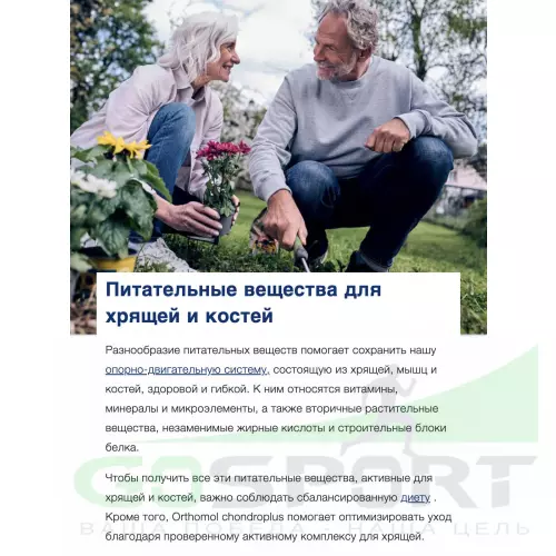 Комплекс хондропротекторов Orthomol ArthroPlus курс 30 дней