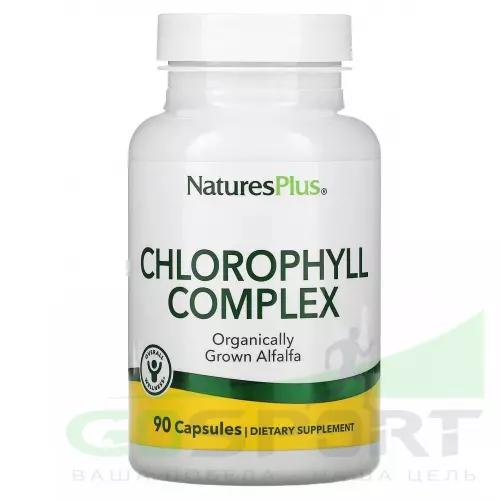  NaturesPlus Chlorophyll Complex 600 mg 90 капсул