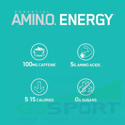 Аминокислоты OPTIMUM NUTRITION Essential Amino Energy 270 г, Пряный чай латте
