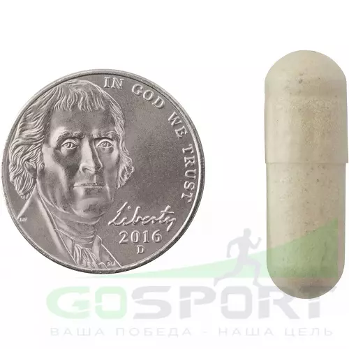  Natrol Easy-C 500 mg 240 капсул