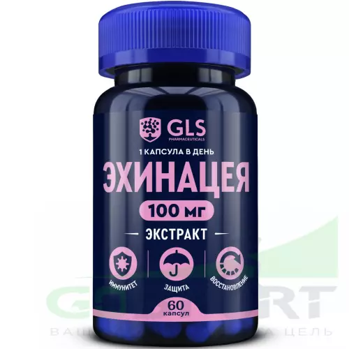  GLS pharmaceuticals Эхинацея (экстракт) 100 мг 60 капсул