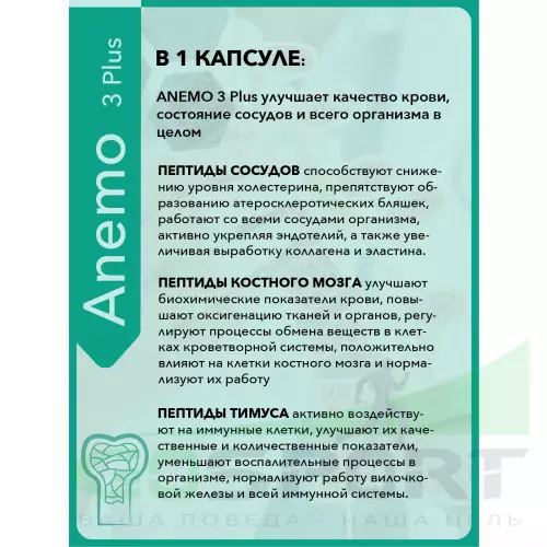  Vitual Laboratories Anemo 3 Plus (Выносливость) 60 капсул