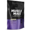 Muscle Mass