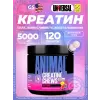 Animal Creatine Chews